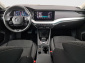 Škoda Octavia, 2023