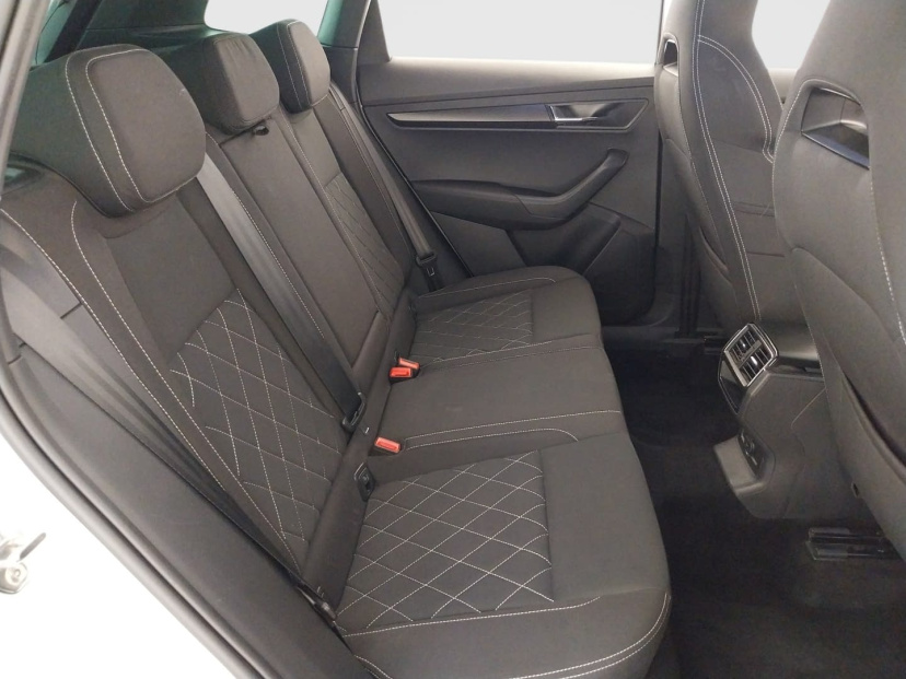 Škoda Karoq, 2019