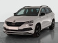 Škoda Karoq, 2019