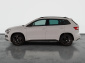 Škoda Karoq, 2019