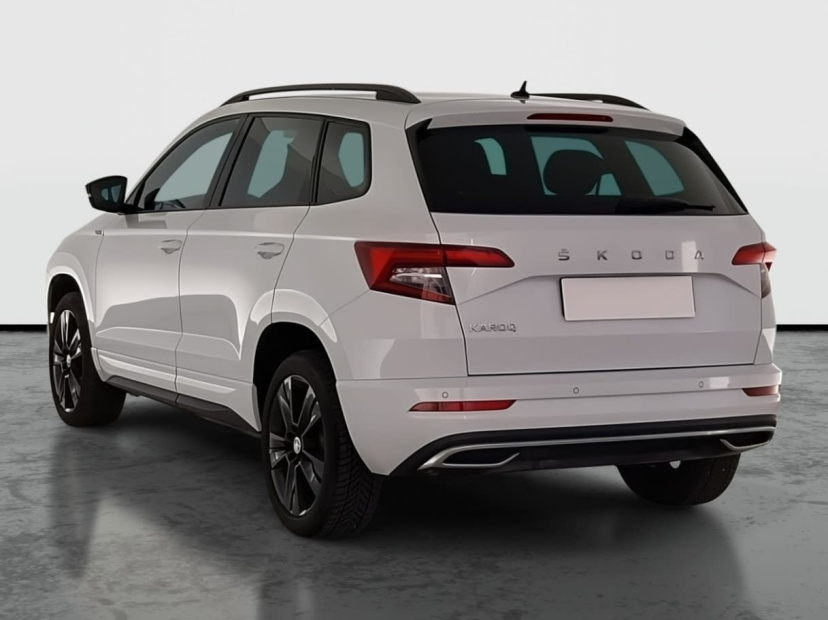 Škoda Karoq, 2019