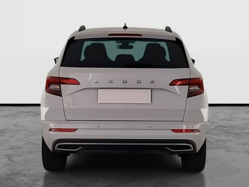 Škoda Karoq, 2019