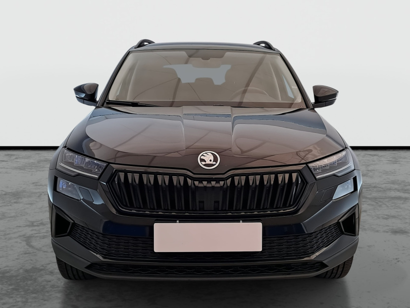 Škoda Karoq, 2022