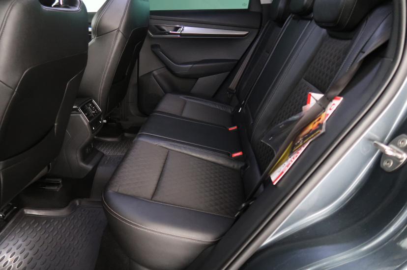Škoda Karoq, 2020