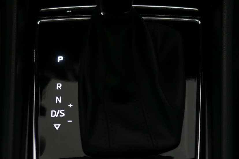 Škoda Karoq, 2020