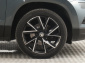 Škoda Karoq, 2020