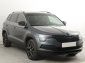 Škoda Karoq, 2020