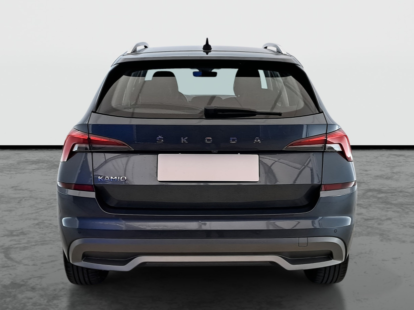 Škoda Kamiq, 2021