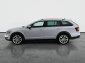 Škoda Octavia Scout, 2019