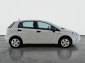 Fiat Punto, 2013