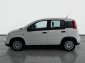 Fiat Panda, 2023