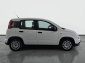 Fiat Panda, 2023