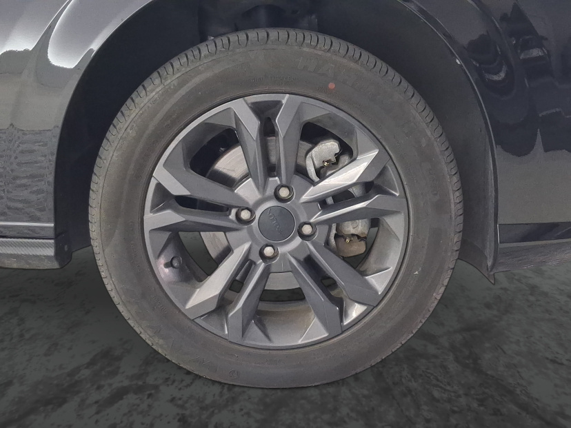 Dongfeng Shine, 2024