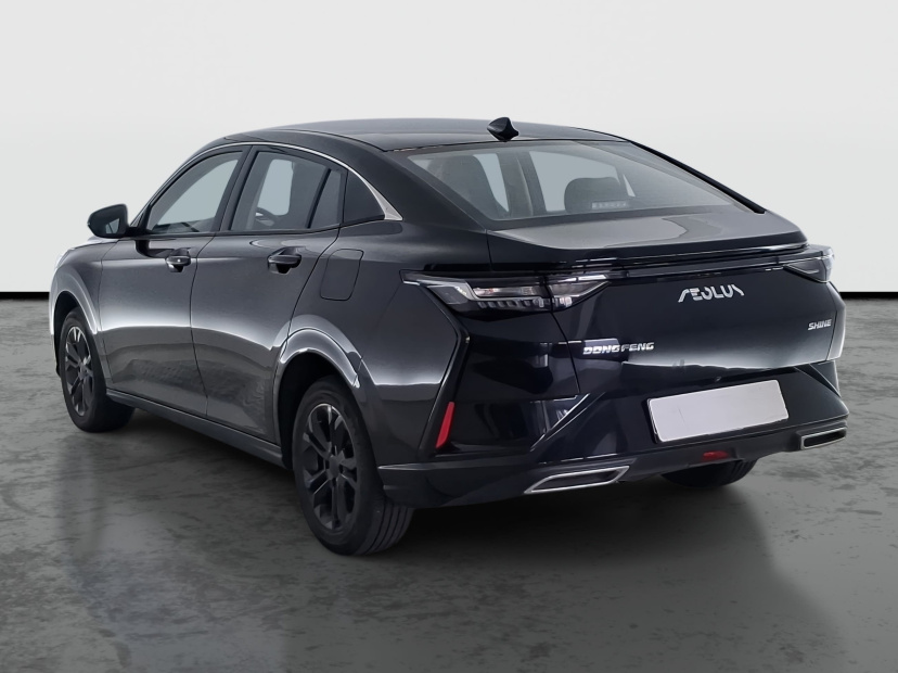Dongfeng Shine, 2024