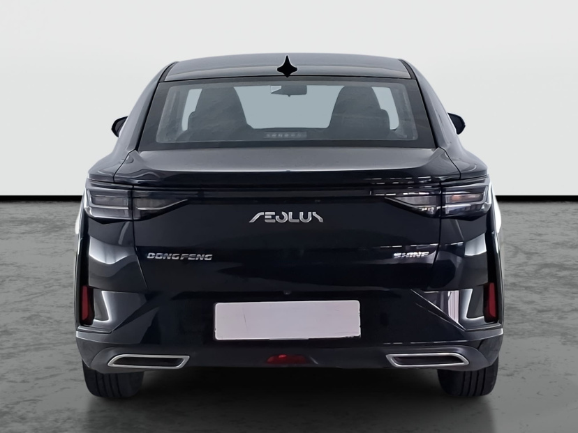 Dongfeng Shine, 2024