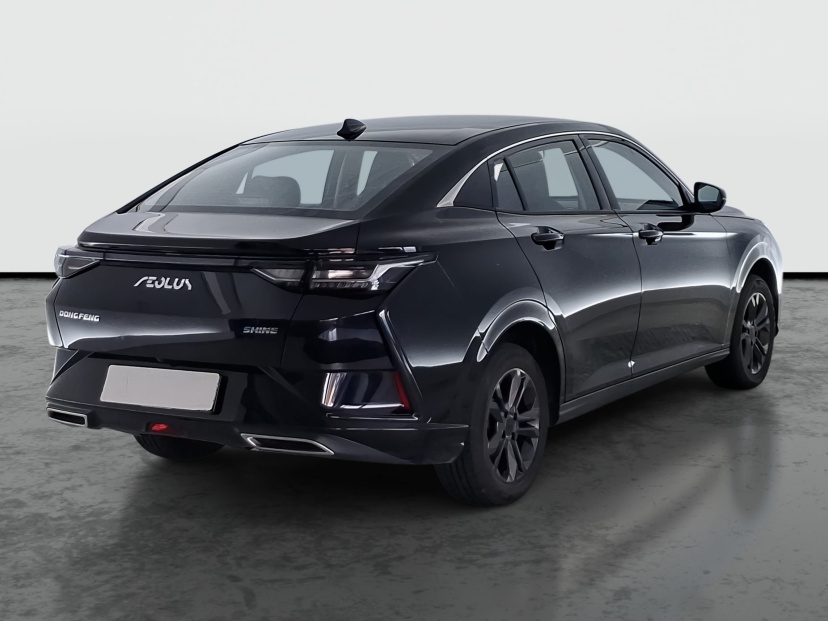 Dongfeng Shine, 2024