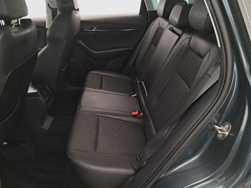 Škoda Karoq, 2020