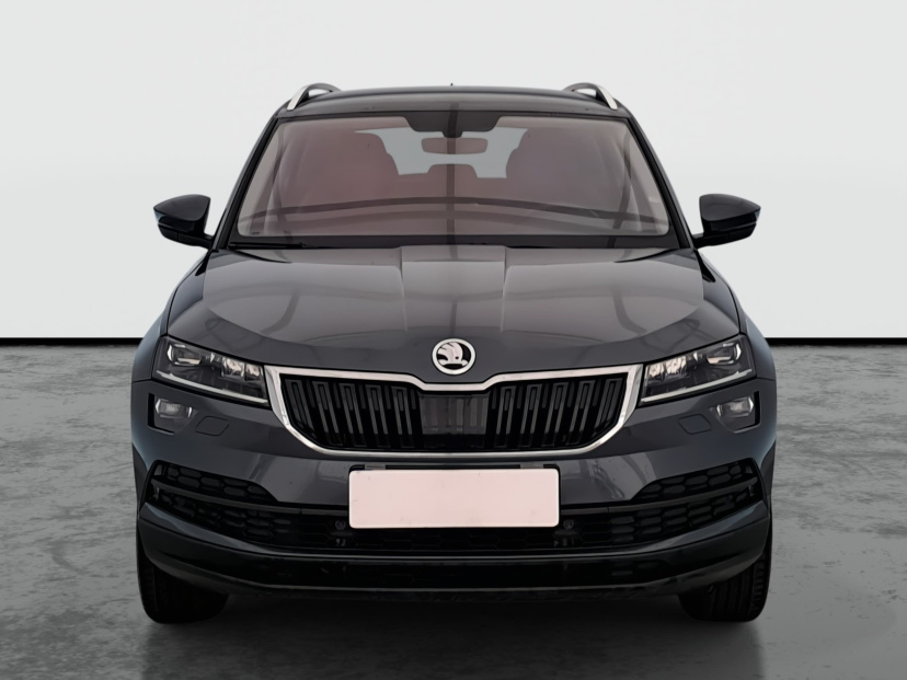 Škoda Karoq, 2020