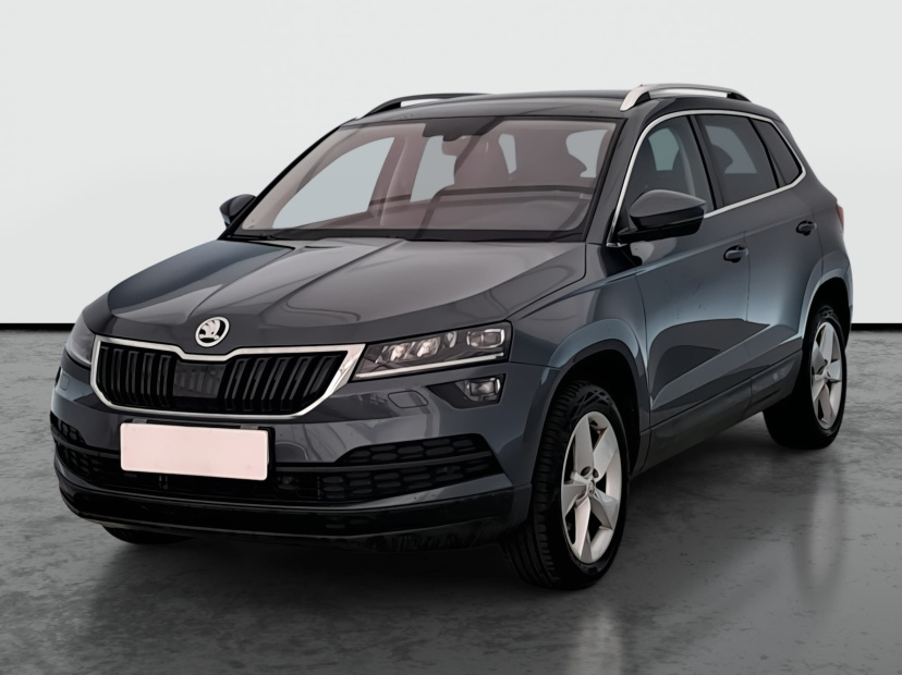Škoda Karoq, 2020