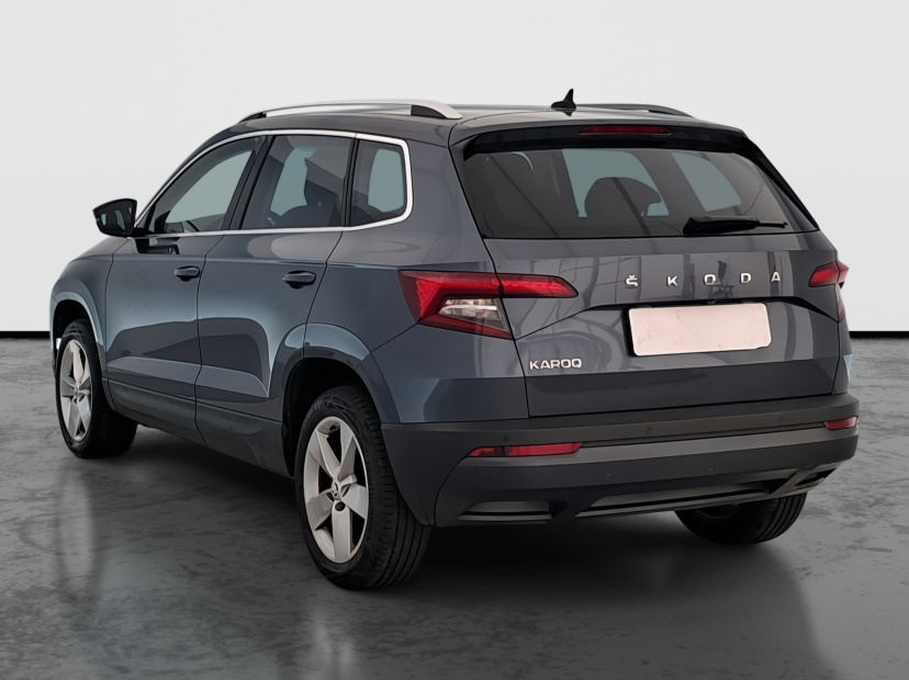 Škoda Karoq, 2020