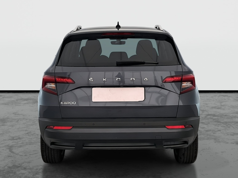 Škoda Karoq, 2020
