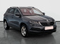 Škoda Karoq, 2020