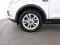 Ford Kuga, 2019