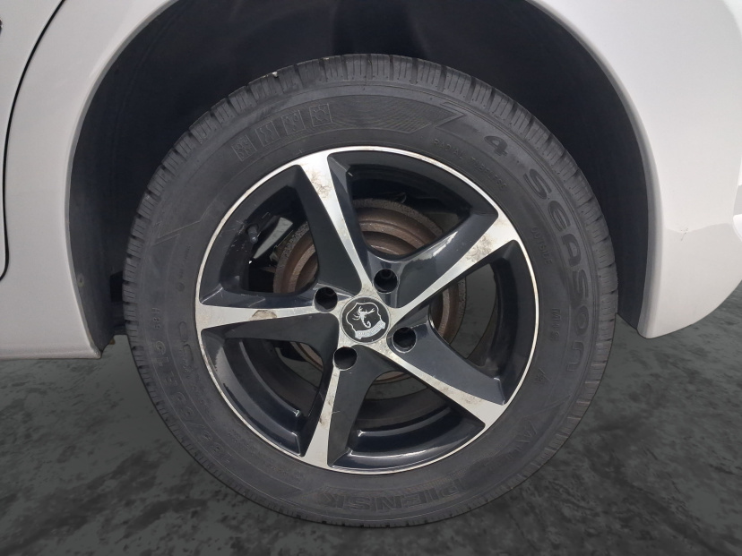 Peugeot 207, 2010