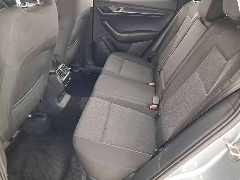 Škoda Karoq, 2019