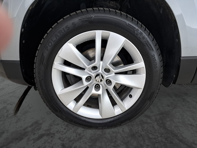 Škoda Karoq, 2019