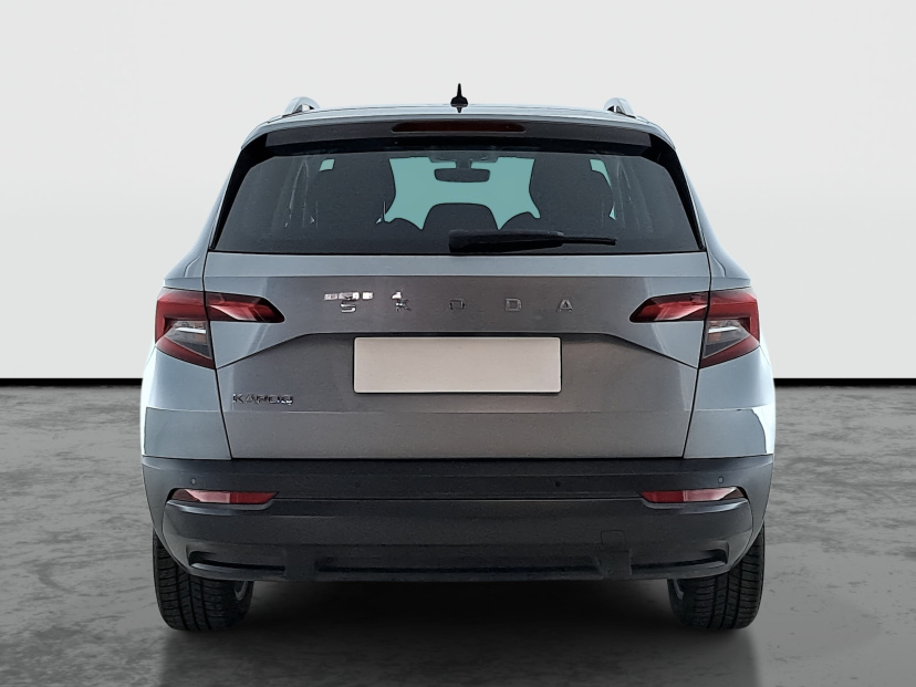 Škoda Karoq, 2019