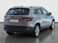 Škoda Karoq, 2019