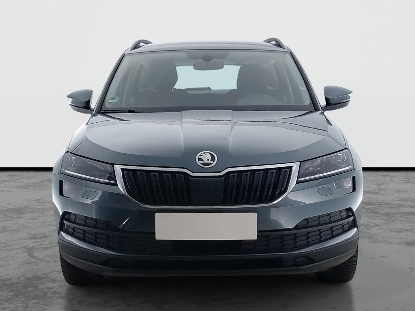 Škoda Karoq, 2019