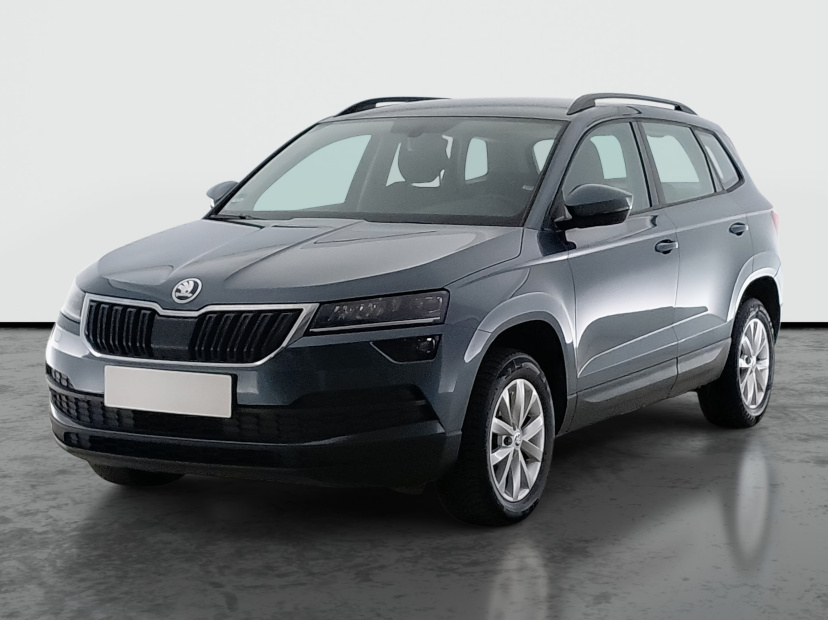 Škoda Karoq, 2019