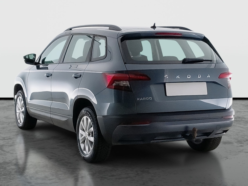 Škoda Karoq, 2019