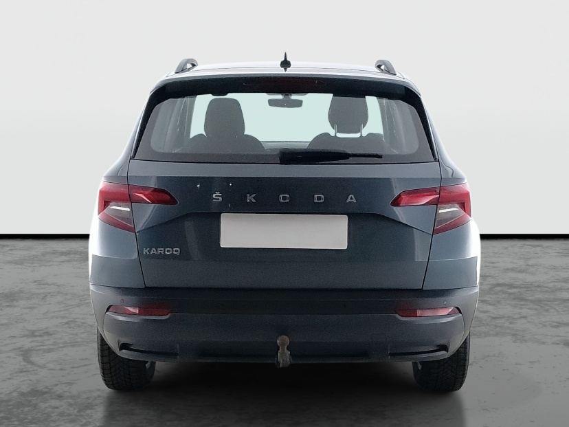 Škoda Karoq, 2019