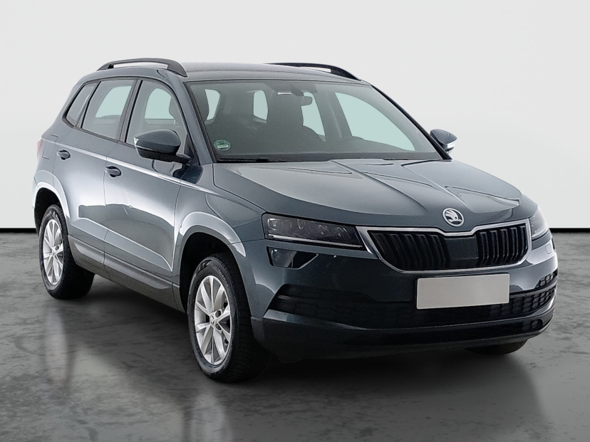 Škoda Karoq, 2019