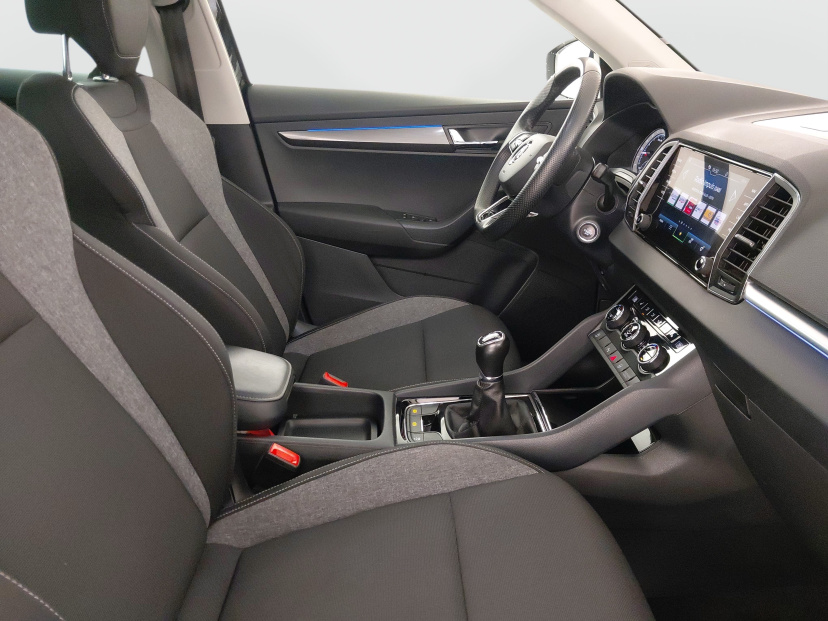 Škoda Karoq, 2020