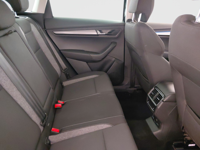 Škoda Karoq, 2020