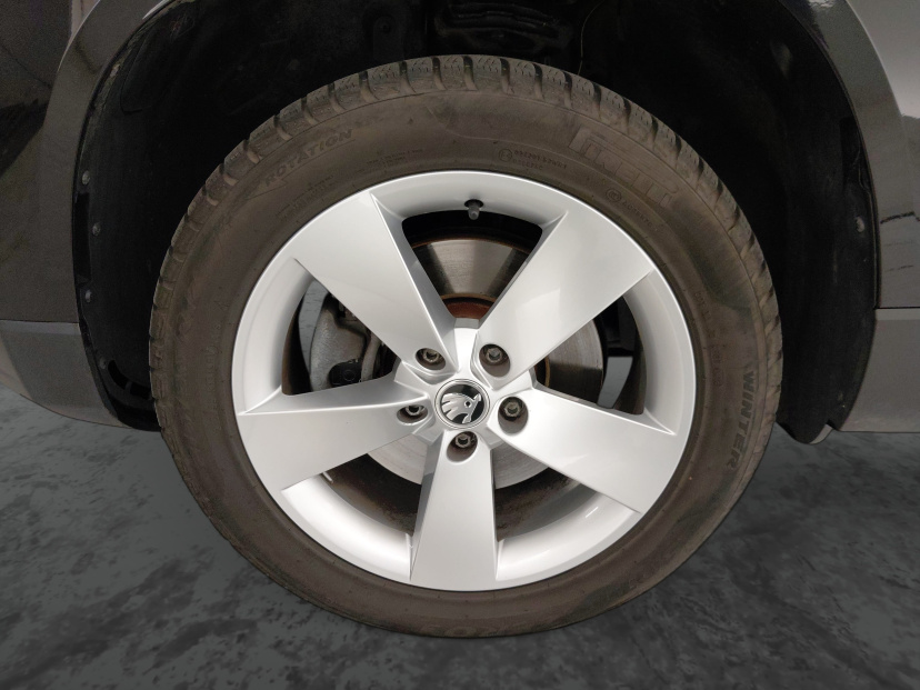 Škoda Karoq, 2020