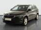 Škoda Karoq, 2020