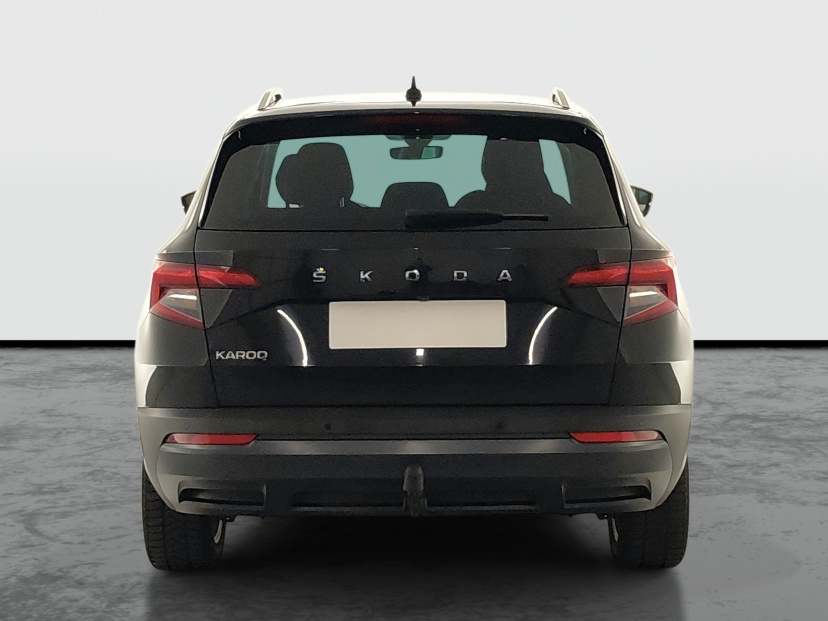Škoda Karoq, 2020