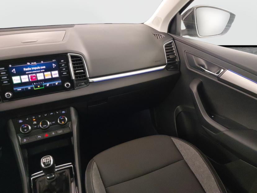 Škoda Karoq, 2020