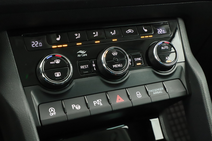 Škoda Kodiaq, 2020