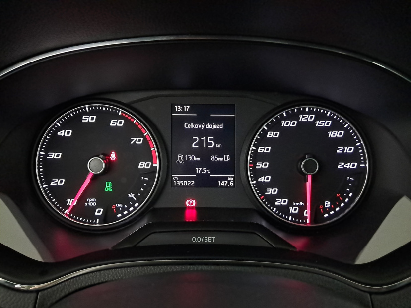 Seat Arona, 2019