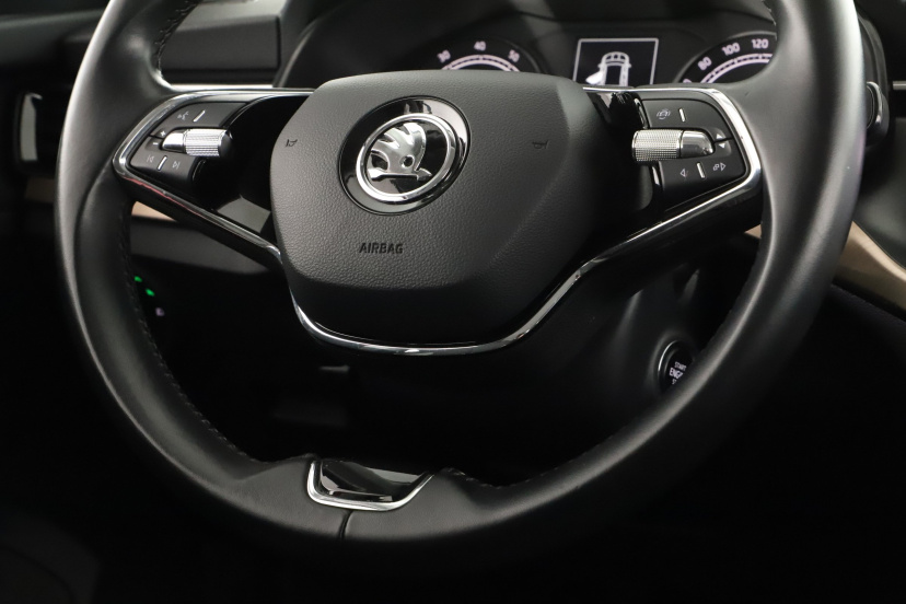 Škoda Kamiq, 2021