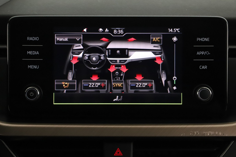 Škoda Kamiq, 2021