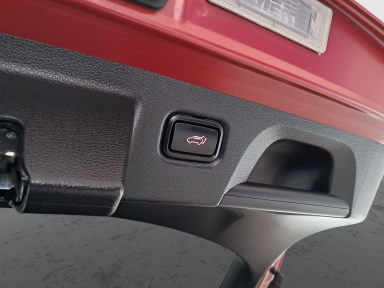 Kia ProCeed - 2024