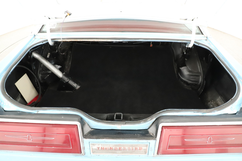 Ford Thunderbird, 1979