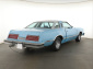 Ford Thunderbird, 1979